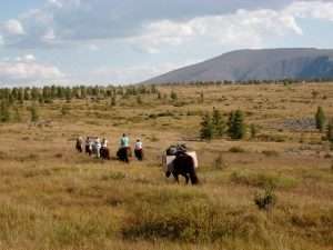 Plusieurs cavaliers à cheval sur une plaine